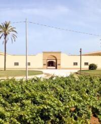 A stunning view of Gorghi Tondi estate in Sicily, surrounded by lush vineyards and palm trees, located within a natural reserve.